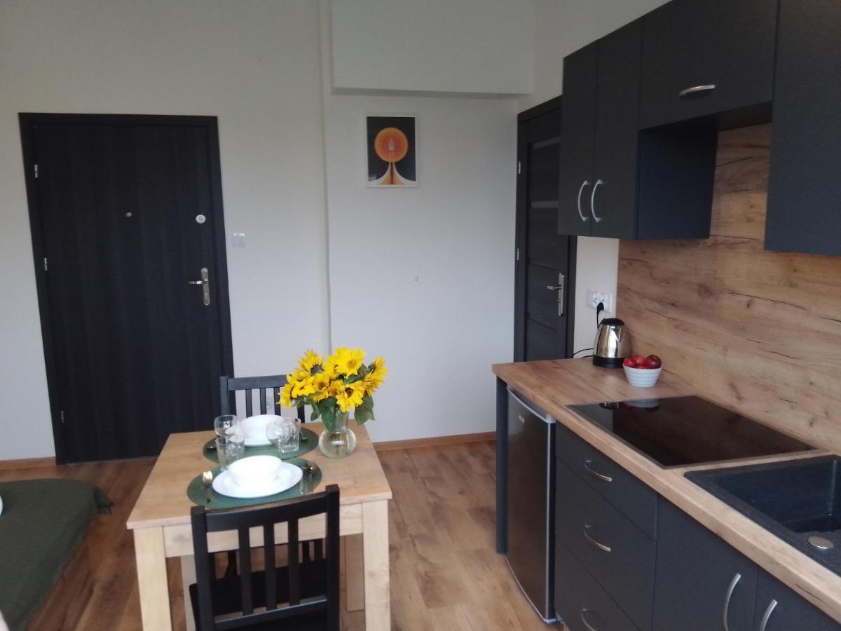 Orange Apartment Wadowice